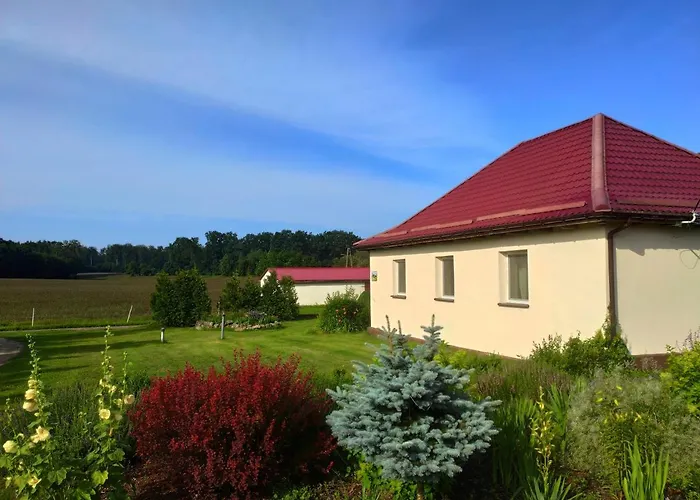 Vakantieboerderij Agroturystyka Lesny Dworek