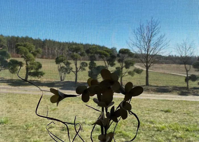 Agroturystyka Lesny Dworek *